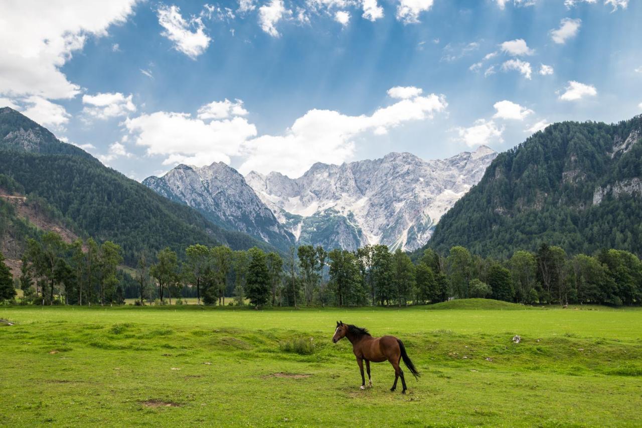 Boutique Hotel Vila Planinka Jezersko Dış mekan fotoğraf