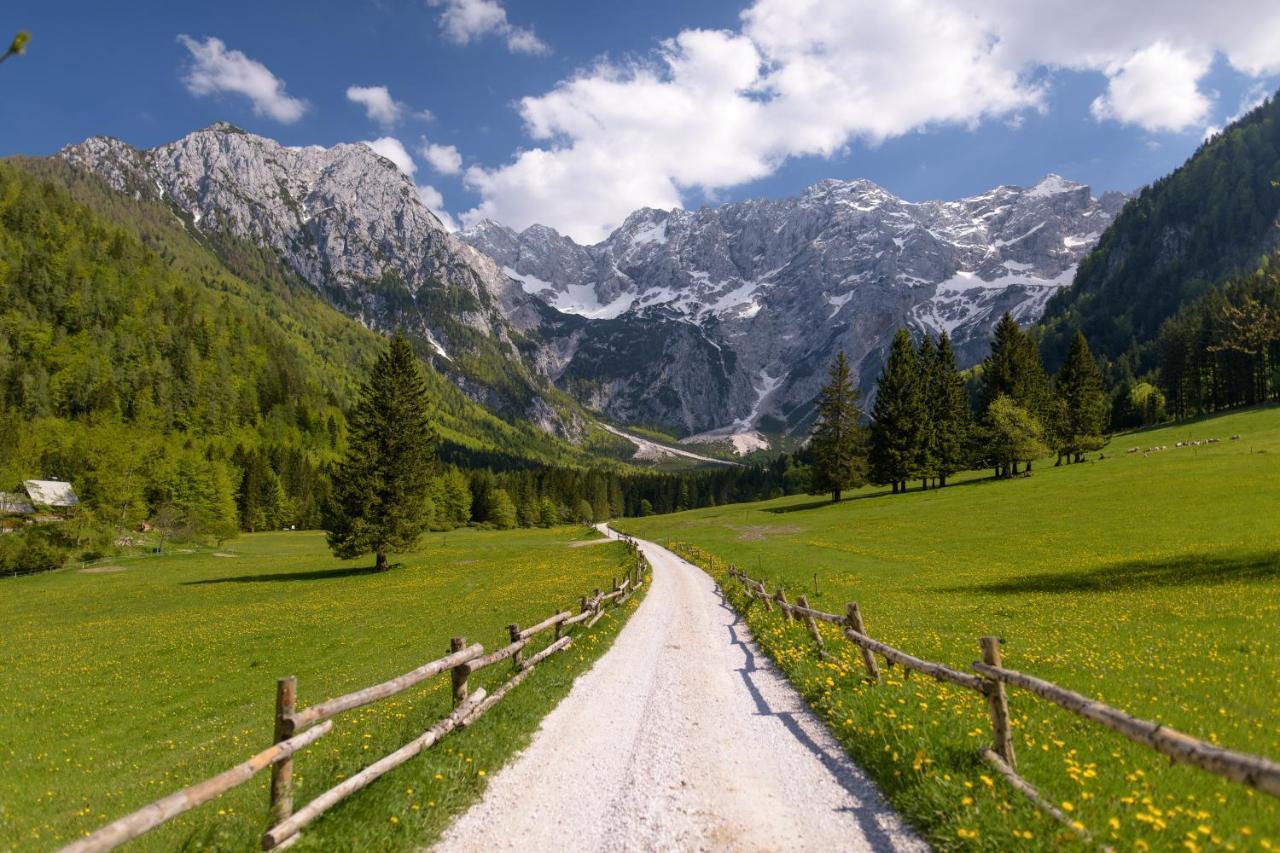 Boutique Hotel Vila Planinka Jezersko Dış mekan fotoğraf